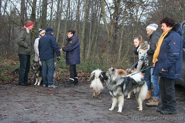 (Foto Goslar) Sulzbachtal 01.12.2012__39.JPG